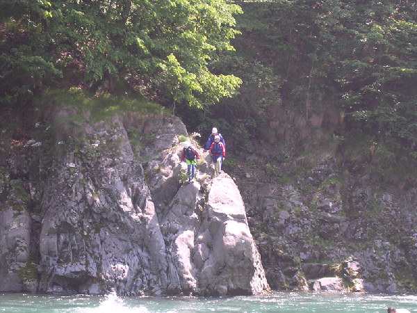 salto tutto