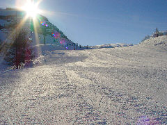 Una pista del Passo Grost� a Madonna di Campiglio, famosa localit� trentina.
