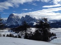 alpe-siusi-sudtirol-05.jpg