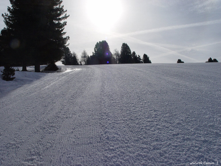 alpe-lusia-skiarea-09.jpg