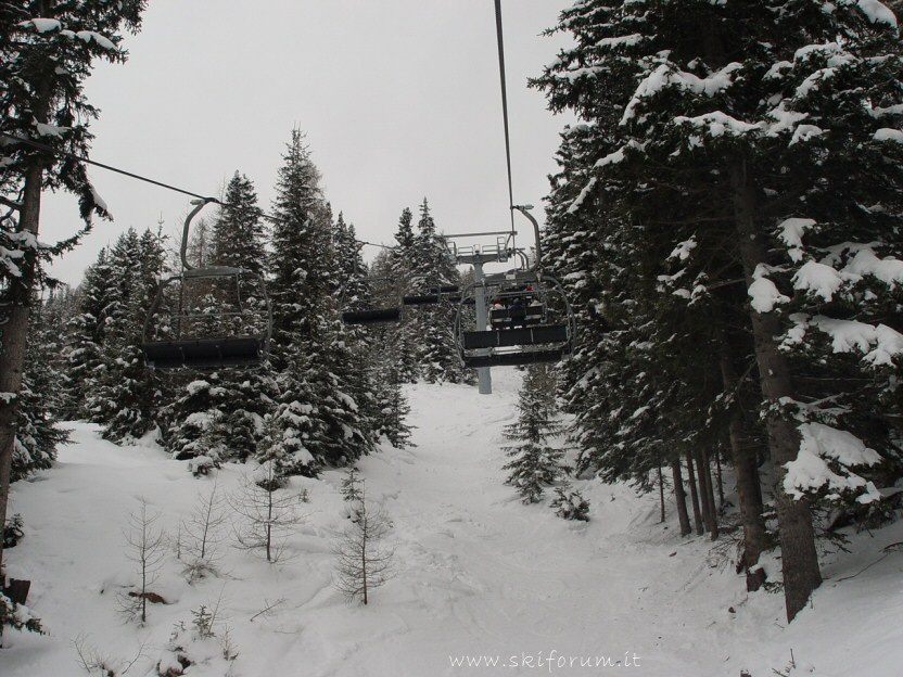 bamby-freeride-boschetto-04.jpg