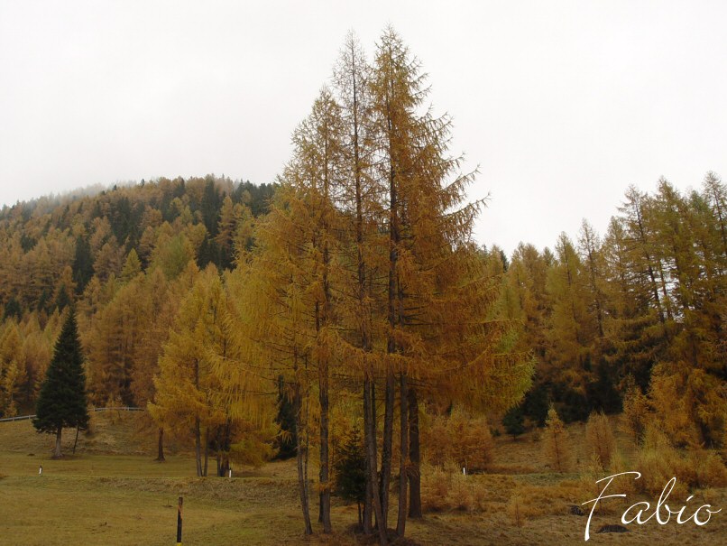 dolomiten_welt_05.jpg