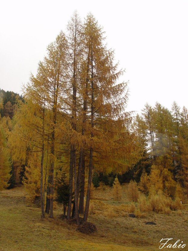 dolomiten_welt_06.jpg