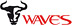 logo waves caschi