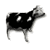 Mucca