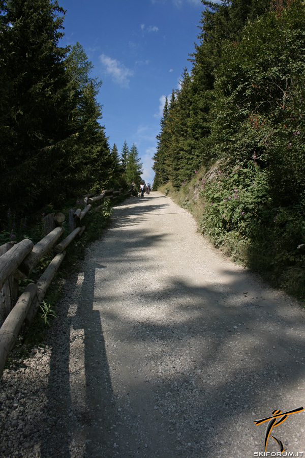 foto rampe mountain bike