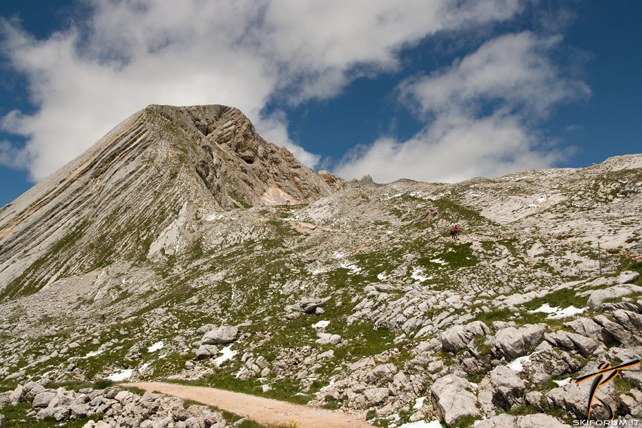 1233-dolomiti-croda-becco.jpg