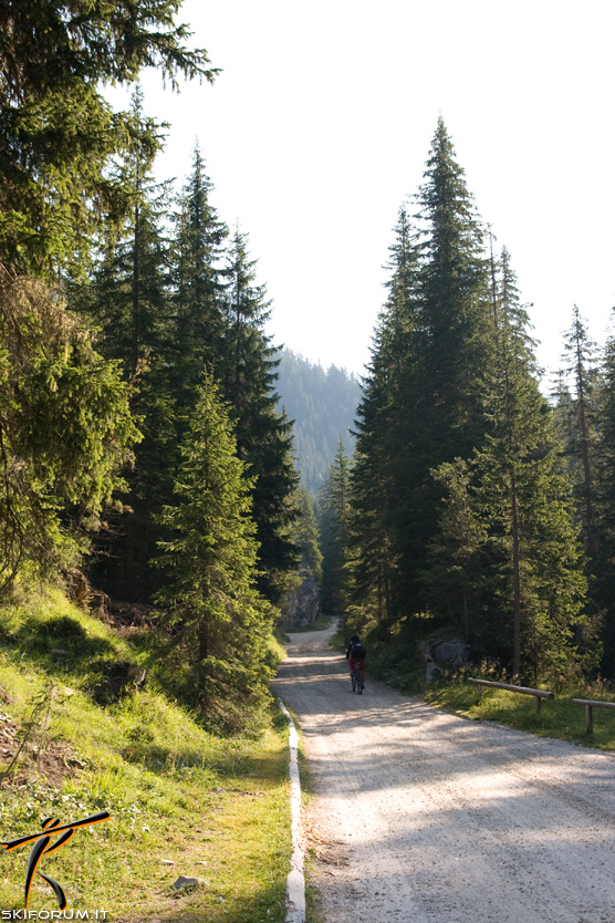 1237-venegia-valle-inizio.jpg