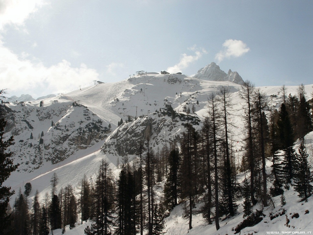 tondi faloria