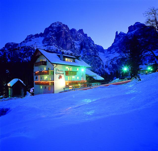 foto stella alpina