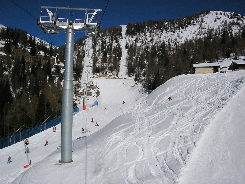 varmost tre