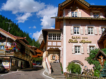 foto Garn� stella alpina in Val di Fassa