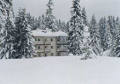 foto appartamenti Villa a Carezza