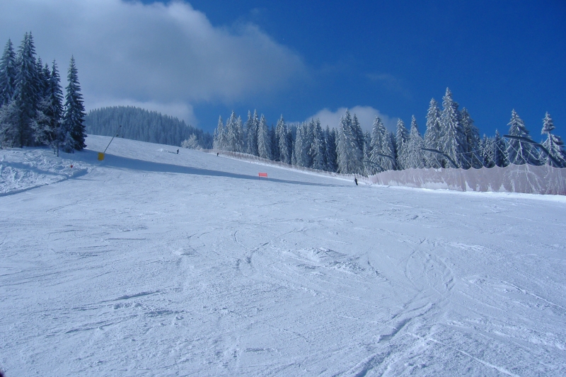 pista di tarvisio