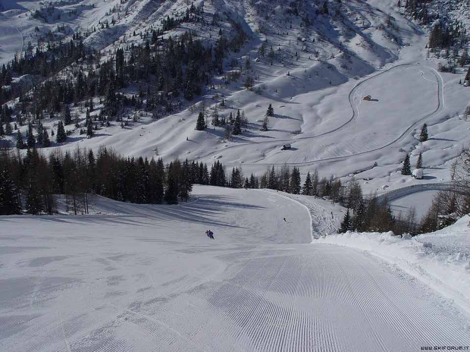 441-le-pale-muro-foto.jpg