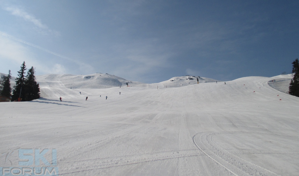 4934-piste-perfette-racines.jpg