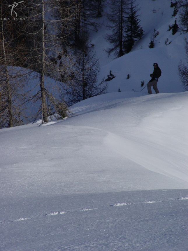 50-freerideing.jpg