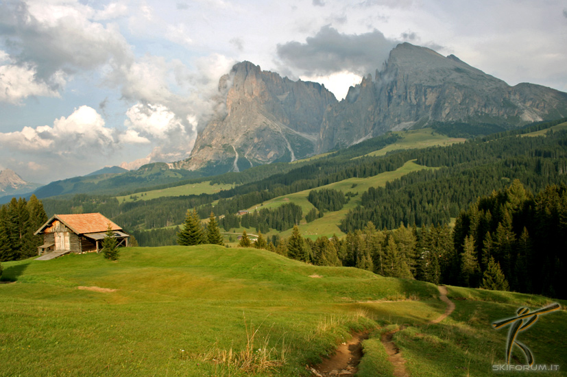 739-mountain-bike-dolomiti.jpg