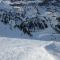 foto pista alpenrose