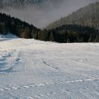 pista Melette