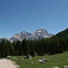 Usciti dal bosco foto dolomiti