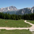Alpeggi di Malga Federa alpeggi in dolomiti