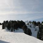 immagine piste da sci Fiemme