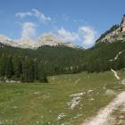 foto pascoli