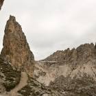 immagine forcella Cir