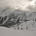 Dopo nevicata boschetti laresei
