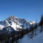 fuoripista dolomiti