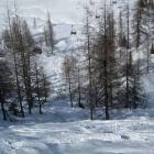 fuoripista nel boschetto