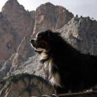 Capanna Alpina foto sentinella Dolomiti