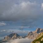 foto pale san martino