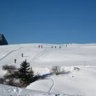 foto piste da sci