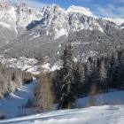 Curvoni nel bosco pista salere nel bosco