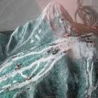 foto del plastico di Plan de Corones