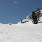 Neve Diavolezza pista diavolezza