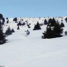Freeride in Val Gardena foto fuoripista va lgardena