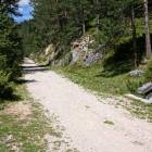 fot ostrada sterrata monte specie