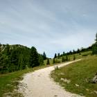 alpeggio dolomiti