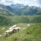 foto passo di gola valle aurina