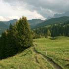 Parte centrale sentiero single track Saltria foto saltria sentiero