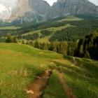 Single track Alpe di Siusi foto sentiero mtb