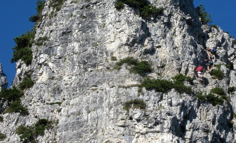 immagine news Scaletta ferrata Falcipieri