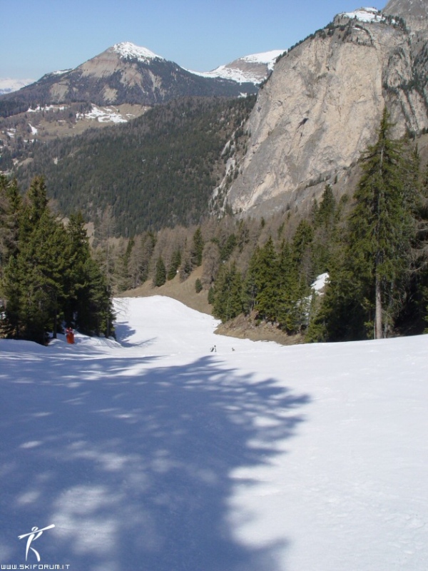 immagine pista Cir