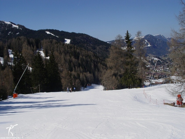 pista cir immagine