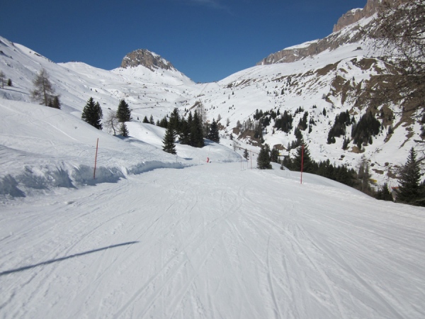 pista alpenrose