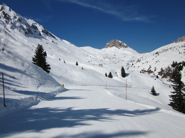 pista Alpenrose