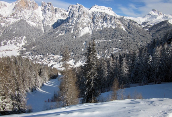 pista salere nel bosco